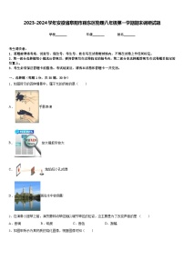 2023-2024学年安徽省阜阳市颍东区物理八年级第一学期期末调研试题含答案