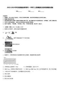 2023-2024学年安徽省宿州市第十一中学八上物理期末达标检测模拟试题含答案