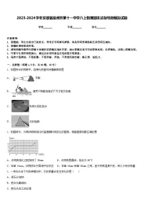 2023-2024学年安徽省宿州市第十一中学八上物理期末达标检测模拟试题含答案