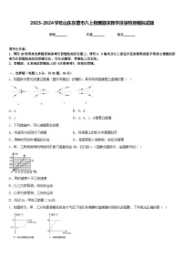 2023-2024学年山东东营市八上物理期末教学质量检测模拟试题含答案