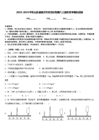 2023-2024学年山东省临沂市河东区物理八上期末统考模拟试题含答案