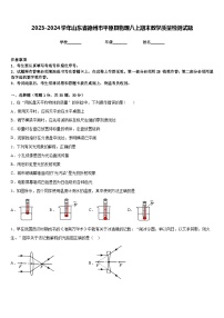 2023-2024学年山东省德州市平原县物理八上期末教学质量检测试题含答案