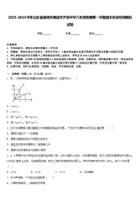 2023-2024学年山东省德州市禹城市齐鲁中学八年级物理第一学期期末质量检测模拟试题含答案