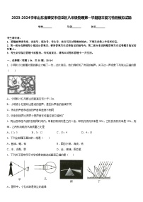 2023-2024学年山东省泰安市岱岳区八年级物理第一学期期末复习检测模拟试题含答案