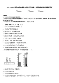 2023-2024学年山东省泰安市物理八年级第一学期期末达标检测模拟试题含答案