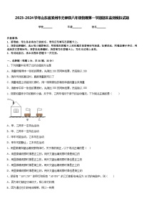 2023-2024学年山东省滨州市无棣县八年级物理第一学期期末监测模拟试题含答案