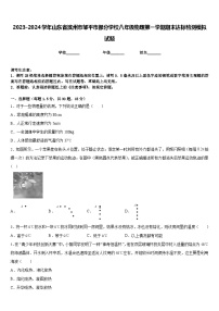 2023-2024学年山东省滨州市邹平市部分学校八年级物理第一学期期末达标检测模拟试题含答案