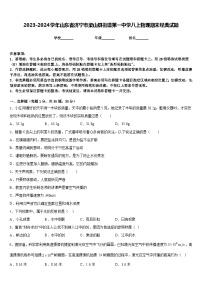 2023-2024学年山东省济宁市梁山县街道第一中学八上物理期末经典试题含答案