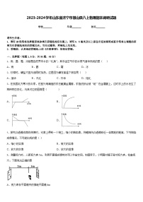 2023-2024学年山东省济宁市微山县八上物理期末调研试题含答案