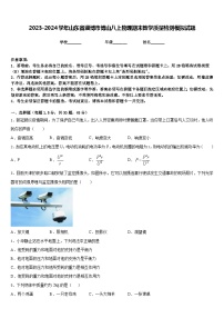 2023-2024学年山东省淄博市博山八上物理期末教学质量检测模拟试题含答案