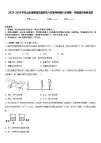 2023-2024学年山东省聊城东昌府区六校联考物理八年级第一学期期末调研试题含答案