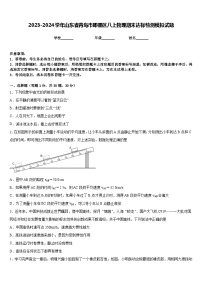 2023-2024学年山东省青岛市即墨区八上物理期末达标检测模拟试题含答案