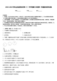 2023-2024学年山东省青岛市第二十一中学物理八年级第一学期期末联考试题含答案