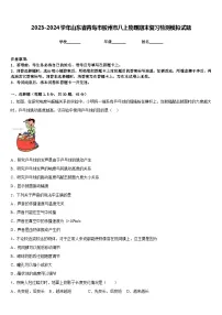 2023-2024学年山东省青岛市胶州市八上物理期末复习检测模拟试题含答案
