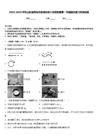 2023-2024学年山东省青岛市胶州实验八年级物理第一学期期末复习检测试题含答案