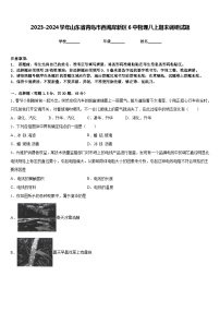 2023-2024学年山东省青岛市西海岸新区6中物理八上期末调研试题含答案