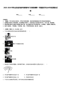 2023-2024学年山东省济南平阴县联考八年级物理第一学期期末学业水平测试模拟试题含答案