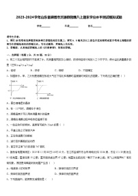 2023-2024学年山东省淄博市沂源县物理八上期末学业水平测试模拟试题含答案