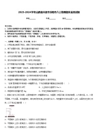 2023-2024学年山西省吕梁市汾阳市八上物理期末监测试题含答案