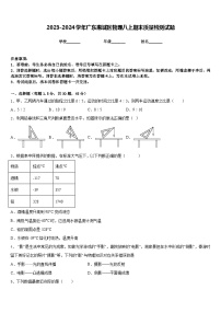 2023-2024学年广东惠城区物理八上期末质量检测试题含答案