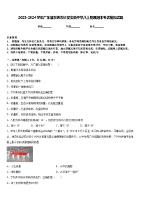 2023-2024学年广东省东莞市长安实验中学八上物理期末考试模拟试题含答案