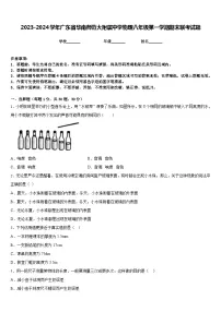 2023-2024学年广东省华南师范大附属中学物理八年级第一学期期末联考试题含答案