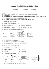 2023-2024学年岳阳市湘阴县八上物理期末考试试题含答案