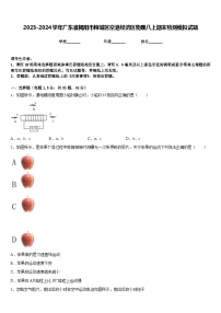 2023-2024学年广东省揭阳市榕城区空港经济区物理八上期末检测模拟试题含答案