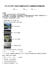 2023-2024学年广东省汕头市潮南区峡山中学八上物理期末复习检测模拟试题含答案