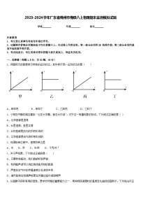 2023-2024学年广东省梅州市梅县八上物理期末监测模拟试题含答案