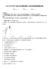 2023-2024学年广东省汕头市潮阳区物理八上期末质量跟踪监视模拟试题含答案