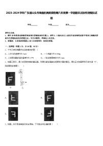 2023-2024学年广东省汕头市潮南区两英镇物理八年级第一学期期末达标检测模拟试题含答案