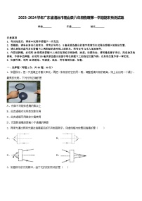 2023-2024学年广东省清远市阳山县八年级物理第一学期期末预测试题含答案