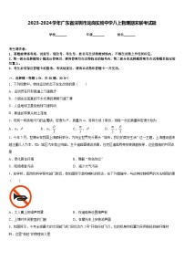 2023-2024学年广东省深圳市龙岗实验中学八上物理期末联考试题含答案