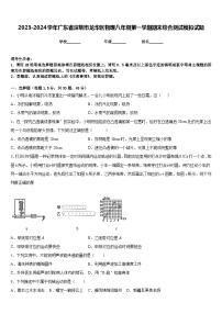 2023-2024学年广东省深圳市龙华区物理八年级第一学期期末综合测试模拟试题含答案