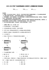 2023-2024学年广东省深圳盐田区六校联考八上物理期末复习检测试题含答案