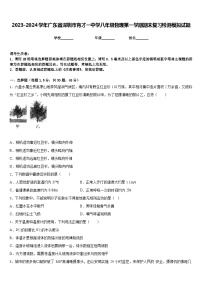 2023-2024学年广东省深圳市育才一中学八年级物理第一学期期末复习检测模拟试题含答案