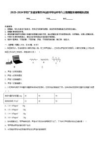 2023-2024学年广东省深圳市坪山区中学山中学八上物理期末调研模拟试题含答案