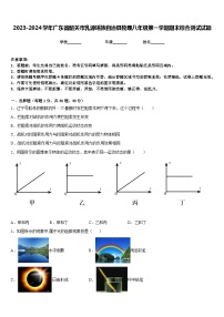 2023-2024学年广东省韶关市乳源瑶族自治县物理八年级第一学期期末综合测试试题含答案