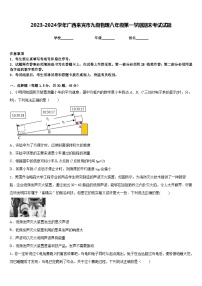 2023-2024学年广西来宾市九级物理八年级第一学期期末考试试题含答案