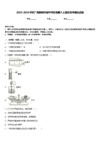 2023-2024学年广西柳州市城中学区物理八上期末统考模拟试题含答案