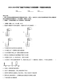 2023-2024学年广西南宁市武鸣区八年级物理第一学期期末调研试题含答案