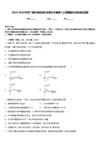 2023-2024学年广西壮族自治区北海市合浦县八上物理期末达标测试试题含答案