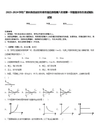 2023-2024学年广西壮族自治区钦州市浦北县物理八年级第一学期期末综合测试模拟试题含答案