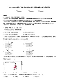 2023-2024学年广西壮族自治区崇左市八上物理期末复习检测试题含答案