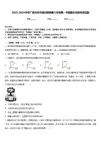 2023-2024学年广西玉林市博白县物理八年级第一学期期末质量检测试题含答案