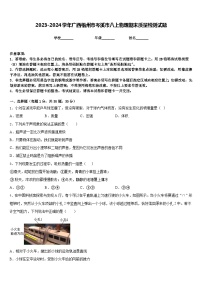 2023-2024学年广西梧州市岑溪市八上物理期末质量检测试题含答案