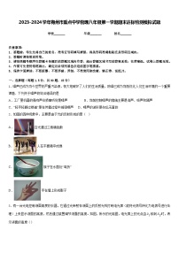 2023-2024学年梅州市重点中学物理八年级第一学期期末达标检测模拟试题含答案
