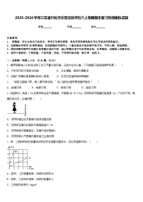 2023-2024学年江苏省兴化市乐吾实验学校八上物理期末复习检测模拟试题含答案