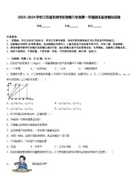 2023-2024学年江苏省苏州市区物理八年级第一学期期末监测模拟试题含答案